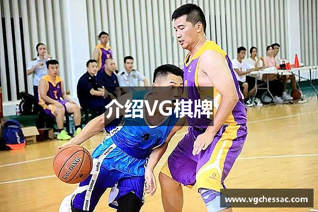介绍VG棋牌